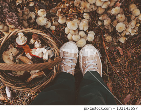 Mushroom hunting. Top view of a person in the autumnal forest with a basket of freshly picked mushrooms. Autumn scene with pine needles, earthy tones. 132143657
