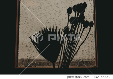Silhouette of flowers and leaves against a rainy window. A moody, artistic shot featuring the silhouettes of plants against a window with raindrops Silhouette of flowers and leaves against a rainy window. A moody, artistic shot featuring the silhouettes of plants against a window with raindrops 132143839