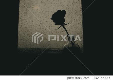 Silhouette of a single rose in a glass vase against a window with raindrops. A moody, artistic shot features a rosebud flower silhouetted against a rain-streaked window Dramatic melancholic atmosphere Silhouette of a single rose in a glass vase against a window with raindrops. A moody, artistic shot features a rosebud flower silhouetted against a rain-streaked window Dramatic melancholic atmosphere 132143843