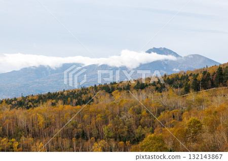 秋天Mikani 132143867