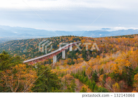 秋天Mikani 132143868