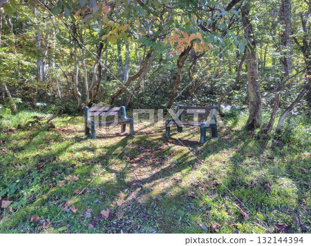群馬縣沼田市丹原高原的秋天，散步長椅 132144394