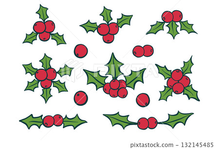 Holly berry Christmas icon set, Merry Christmas and Xmas, holiday tree sign vector collection Holly berry Christmas icon set, Merry Christmas and Xmas, holiday tree sign vector collection 132145485