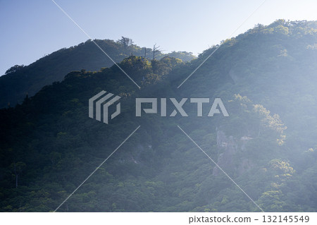 Summer sunshine, Western forest road area, Yakushima, a World Natural Heritage site Summer sunshine, Western forest road area, Yakushima, a World Natural Heritage site 132145549