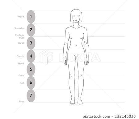 Vector illustration of a 7 head woman front view. Perfect for fashion sketches, anatomy reference,  132146036