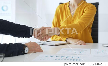 Professional businesspeople shaking hands, confirming partnership agreement in contemporary corporate sunny office. Business handshake 132146239