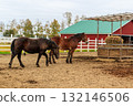 牧場上的馬場 132146506