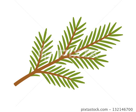 Spruce branch. Hand drawn trendy flat style. Spruce branch. Hand drawn trendy flat style. 132146700