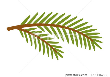Spruce branch. Hand drawn trendy flat style. Spruce branch. Hand drawn trendy flat style. 132146702