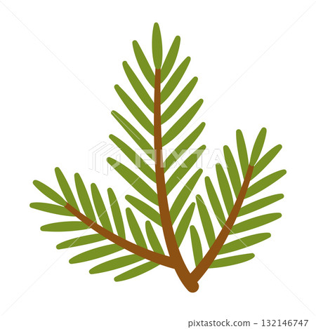 Spruce branch. Hand drawn trendy flat style. 132146747