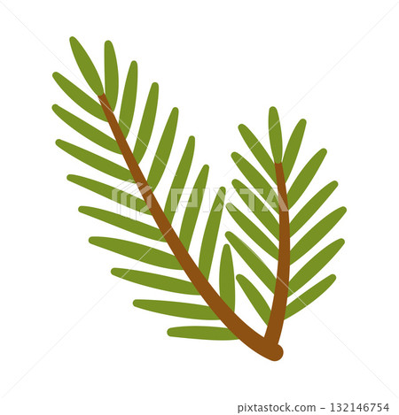 Spruce branch. Hand drawn trendy flat style. Spruce branch. Hand drawn trendy flat style. 132146754