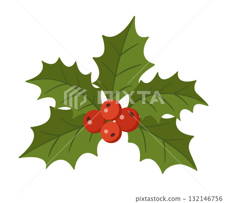 Holly branch with green leaves and red berries. Hand drawn flat style isolated. 132146756