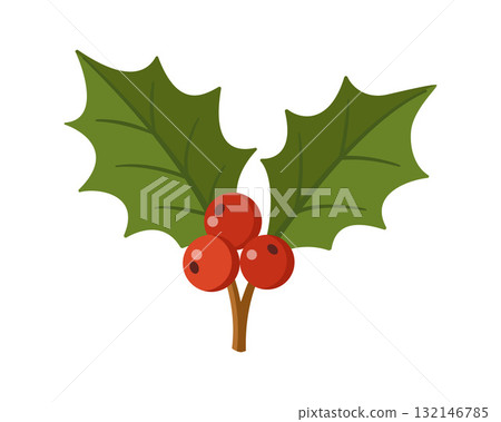 Holly branch with green leaves and red berries. Hand drawn flat style isolated. Holly branch with green leaves and red berries. Hand drawn flat style isolated. 132146785