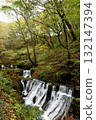Shiraito Falls Karuizawa 132147394