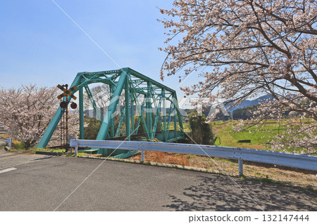 Kitara River Railway Bridge and cherry blossoms in Miyako Town, Fukuoka Prefecture 132147444