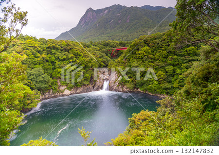 World Natural Heritage Mt. Mochomu and Toroki Falls, Yakushima (Summer) 132147832