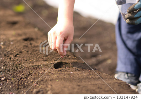 年輕女子在田裡播種蔬菜種子 132147924