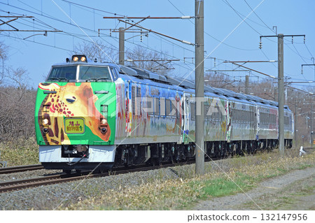 Chitose Line, Bibi-Uenae, JR Hokkaido, Kiha 183 Series, Asahiyama Zoo Train Chitose Line, Bibi-Uenae, JR Hokkaido, Kiha 183 Series, Asahiyama Zoo Train 132147956