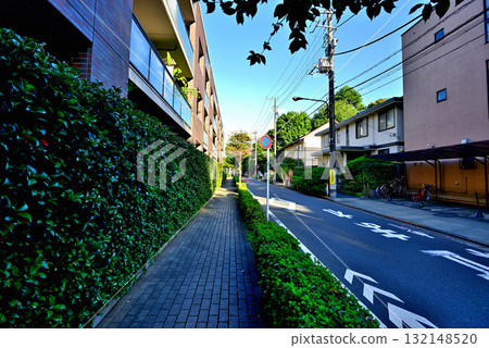 駒場東大前站週邊安靜的高級住宅區,初秋時節,綠樹成蔭,紅葉點綴其間 駒場東大前站週邊安靜的高級住宅區,初秋時節,綠樹成蔭,紅葉點綴其間 132148520