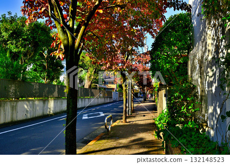 A tree-lined street with autumn leaves in early autumn in a quiet, upscale residential area around Komaba-Todaimae Station 132148523