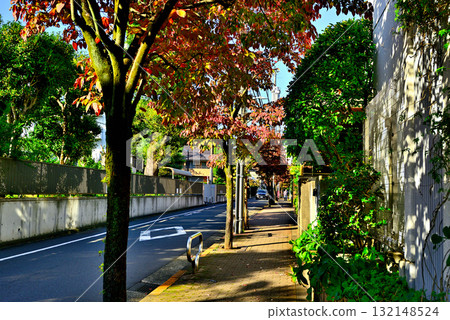 駒場東大前站週邊安靜的高級住宅區，初秋時節，綠樹成蔭，紅葉點綴其間 132148524