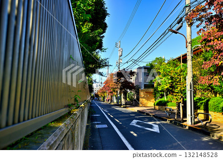 駒場東大前站週邊安靜的高級住宅區，初秋時節，綠樹成蔭，紅葉點綴其間 132148528