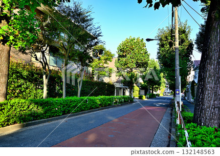 A tree-lined street with autumn leaves in early autumn in a quiet, upscale residential area around Komaba-Todaimae Station 132148563