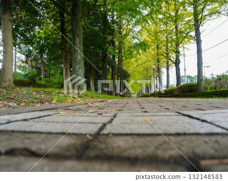 A sidewalk surrounded by green A sidewalk surrounded by green 132148583