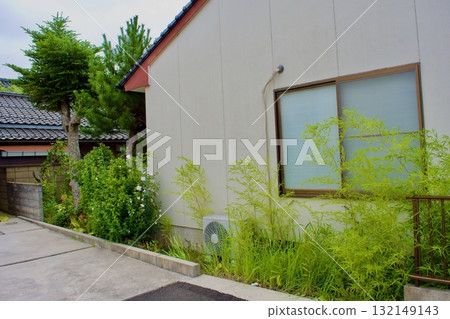 相鄰房屋之間的小邊界上種植的植物 132149143