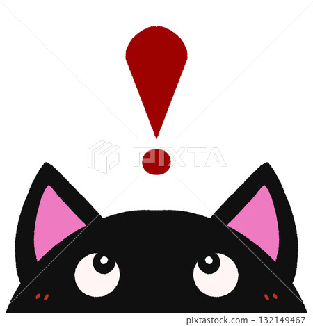 Surprised cat 132149467