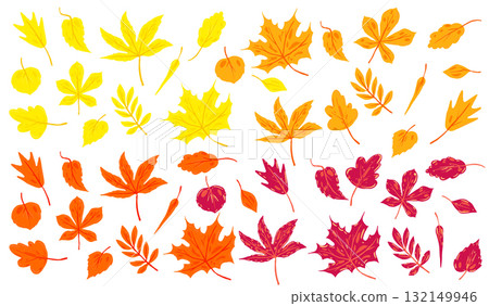 Vector illustration of colorful autumn leaves set. Hand drawn foliage isolated on white background Vector illustration of colorful autumn leaves set. Hand drawn foliage isolated on white background 132149946