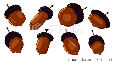 Vector illustration of brown acorns collection. Hand drawn autumn nuts isolated on white background Vector illustration of brown acorns collection. Hand drawn autumn nuts isolated on white background 132149951