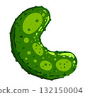 Vector illustration of a green cucumber with texture details. Hand drawn fresh vegetable isolated on white background 132150004