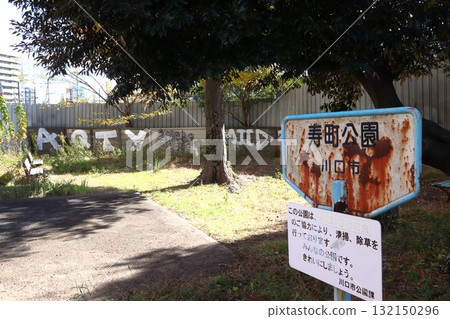 Autumn at Kotobukicho Park (Kawaguchi City, Saitama Prefecture) 132150296