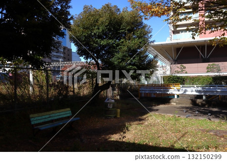 壽町公園的秋天(埼玉縣川口市) 壽町公園的秋天(埼玉縣川口市) 132150299