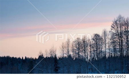 森林剪影和冬季日落天空 - 美麗的黎明天空 - 自然和季節性背景材料 132150952