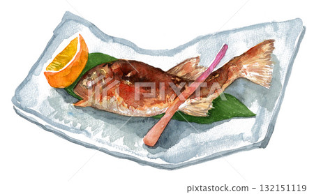 Salt-grilled sweetfish drawn by watercolor 251020pix7 132151119