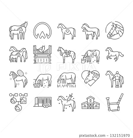 horse breeding equestrian icons set vector horse breeding equestrian icons set vector 132151970