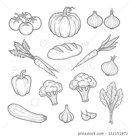 vegetables set. Vector collection of various fresh garden vegetables such as tomato, pumpkin, carrot, onion, pepper, broccoli, garlic and other. Sketch doodle style illustration. 132151972