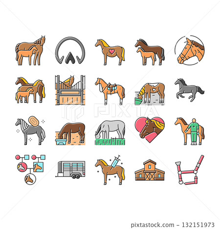 horse breeding equestrian icons set vector horse breeding equestrian icons set vector 132151973