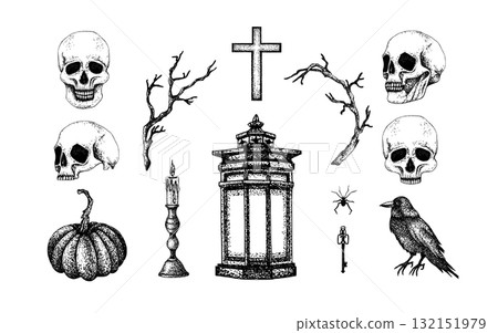 Halloween set pumpkin, skulls, crow, vintage lantern and candelabrum, cross, spider and dry branches. Graphic illustration without white background. Vector object for autumn festive packaging decor 132151979