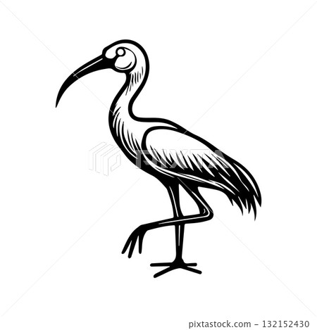 Night Sky Stork Symbol with Balanced Circular Composition 132152430