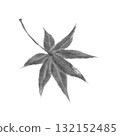 Monochrome illustration of autumn leaves 132152485