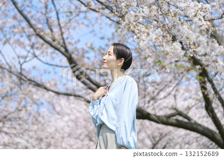 A woman taking a walk with the cherry blossoms in full bloom A woman taking a walk with the cherry blossoms in full bloom 132152689