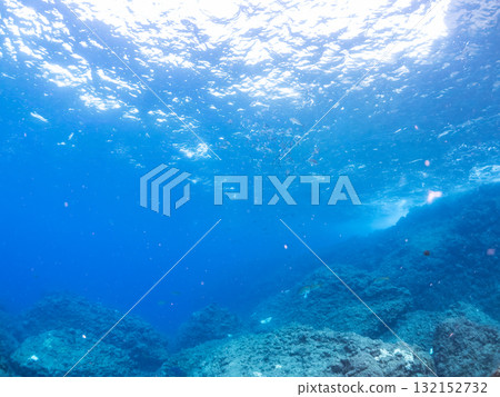 一群石首魚、黑鯛和其他魚類。靜岡縣伊豆半島南伊豆町中木飛騎海灘 - 2025 一群石首魚、黑鯛和其他魚類。靜岡縣伊豆半島南伊豆町中木飛騎海灘 - 2025 132152732