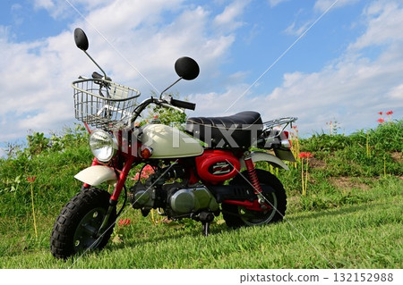 可愛的摩托車猴子 132152988