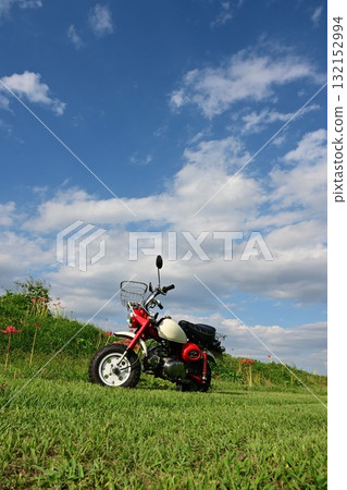 可愛的摩托車猴子 132152994