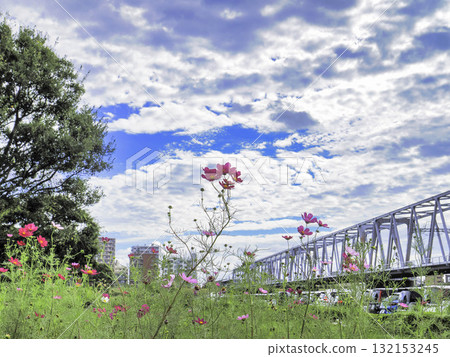 清新的藍天、雲與宇宙 132153245
