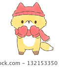 A fox on a winter day with warm gloves 132153350
