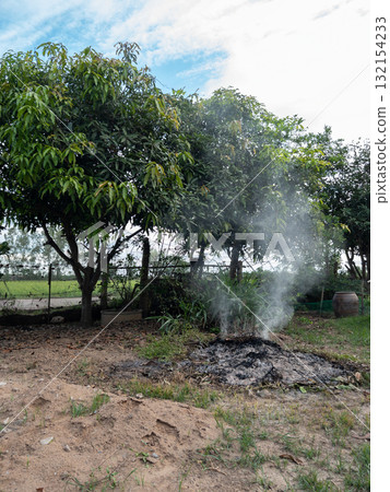 Burnt Leaves and Smoke in Rural Backyard Garden. Burnt Leaves and Smoke in Rural Backyard Garden. 132154233